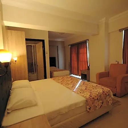 Hotel Hamle 3*